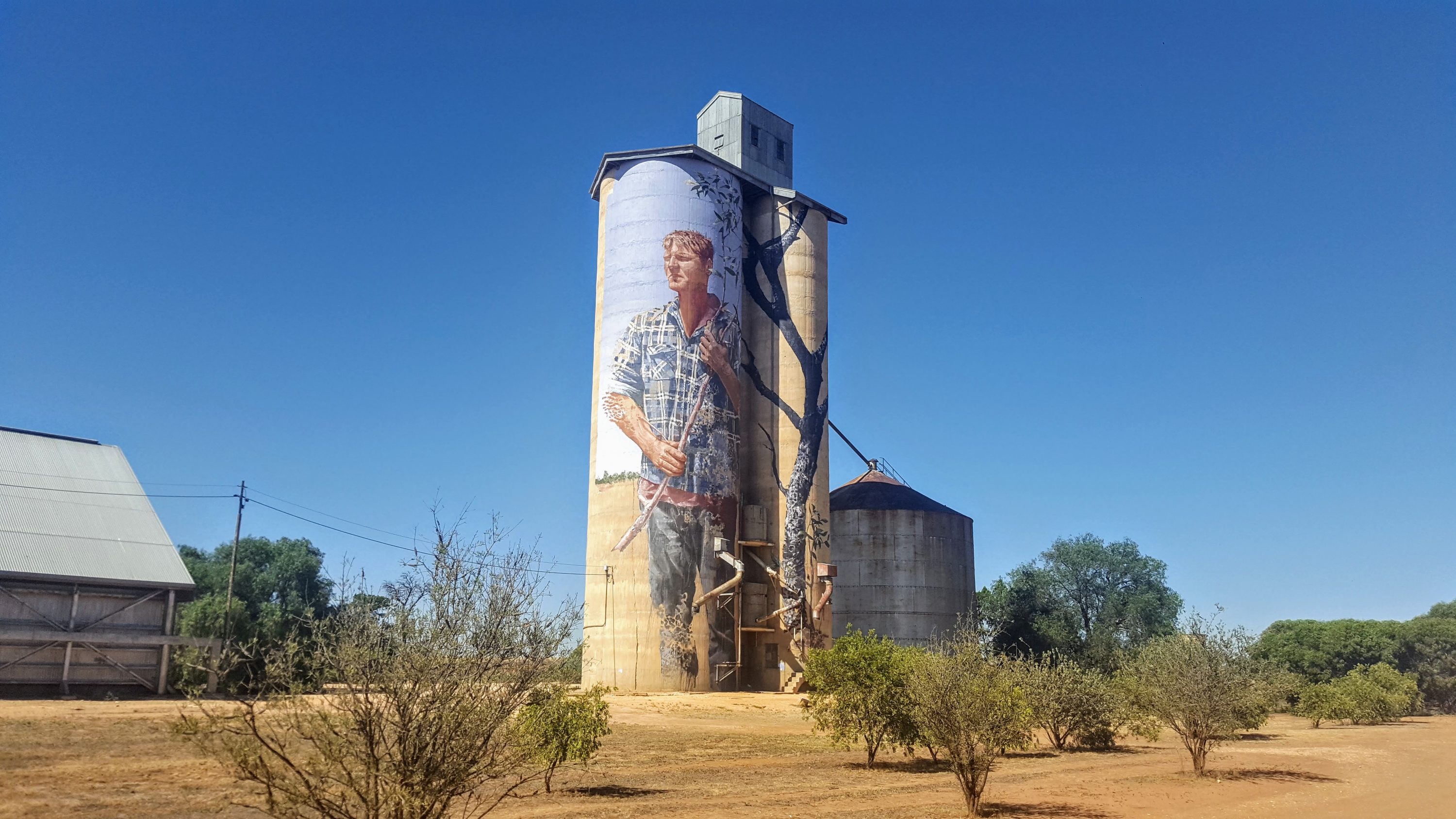 Patchewollock, Fintan Magee