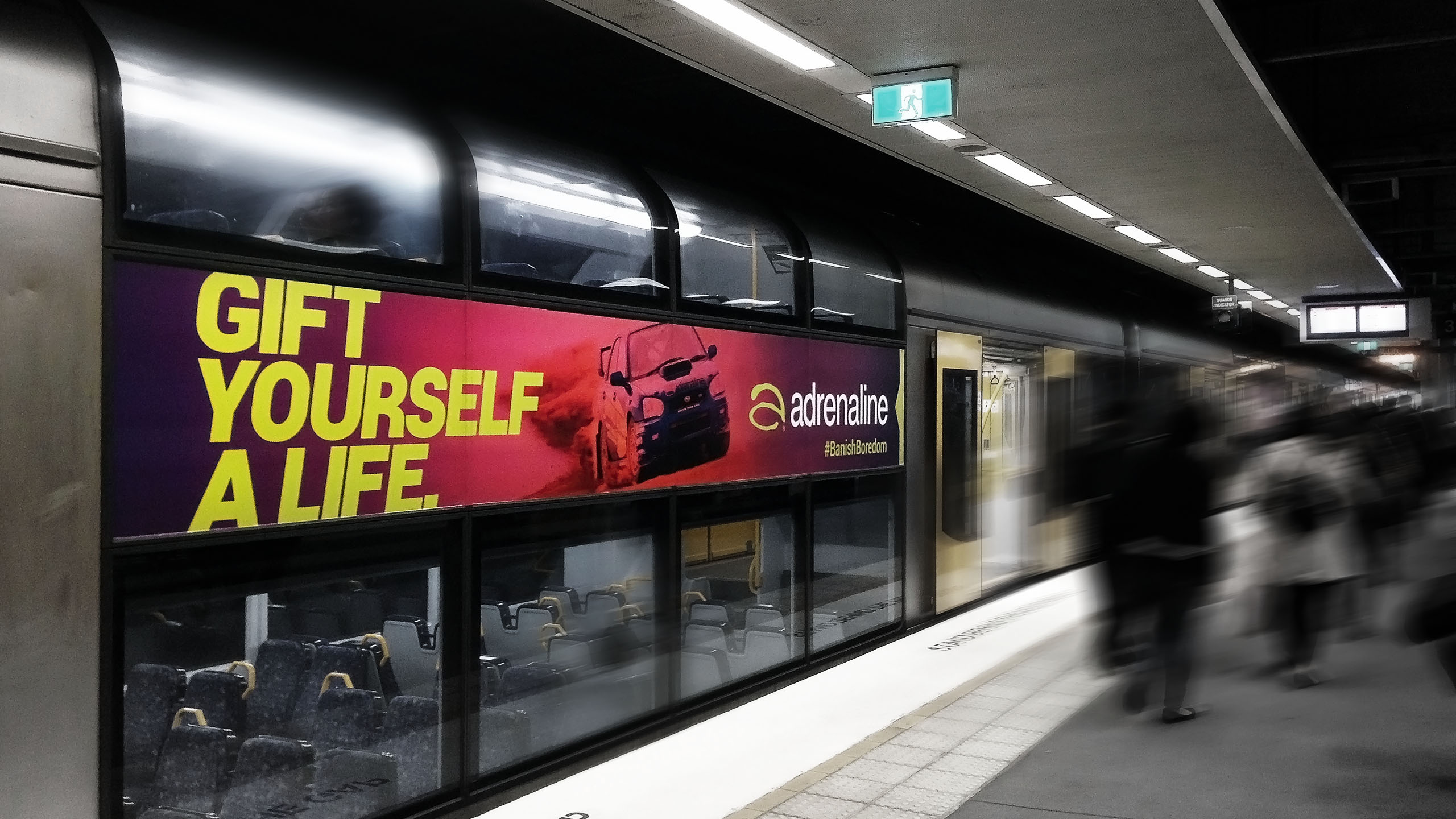 Cardiac epinephrine concentration picture